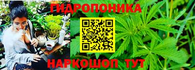 марки nbome Новодвинск