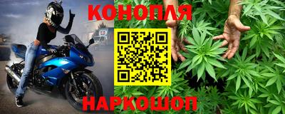 эйфоретик Новокубанск