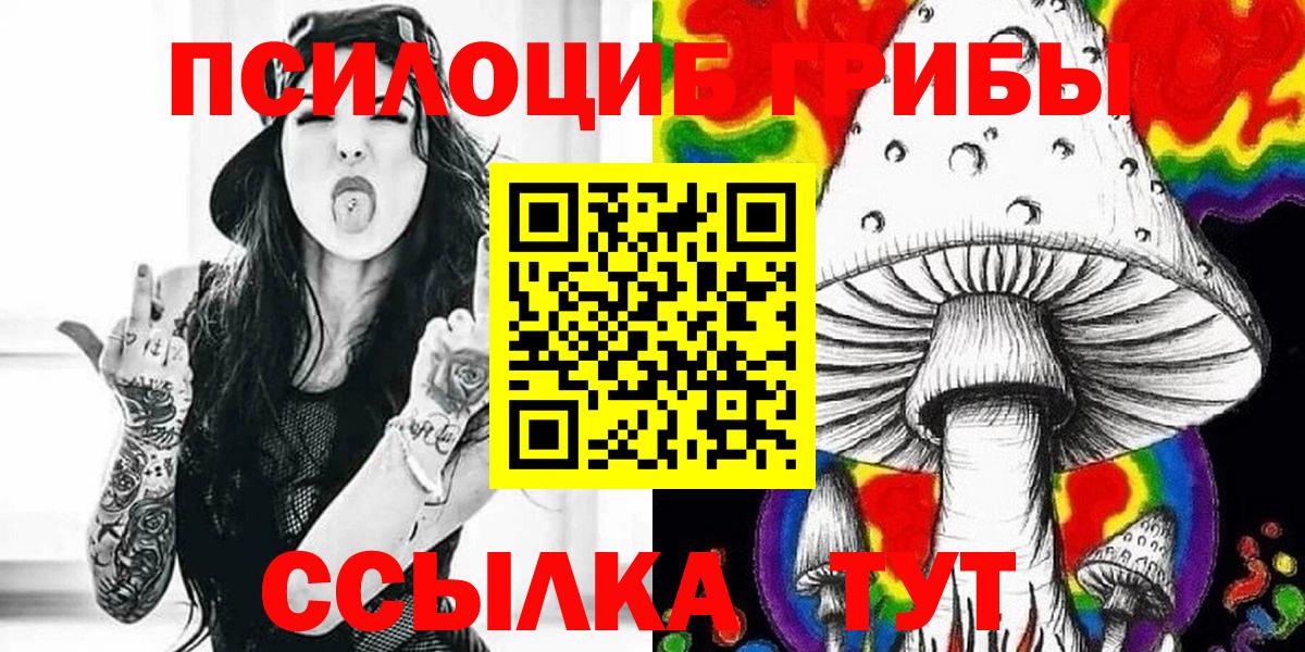 Галлюциногенные грибы Psilocybine cubensis Соль-Илецк