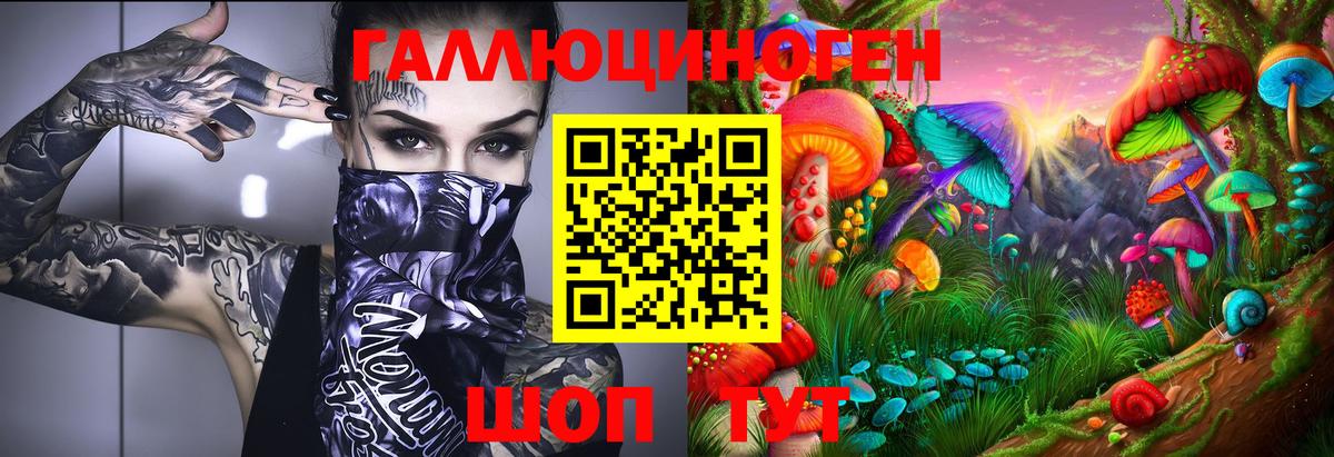 Галлюциногенные грибы Psilocybe  Галлюциногенные грибы мицелий  Вход с VPN  даркнет сайт  Соль-Илецк 